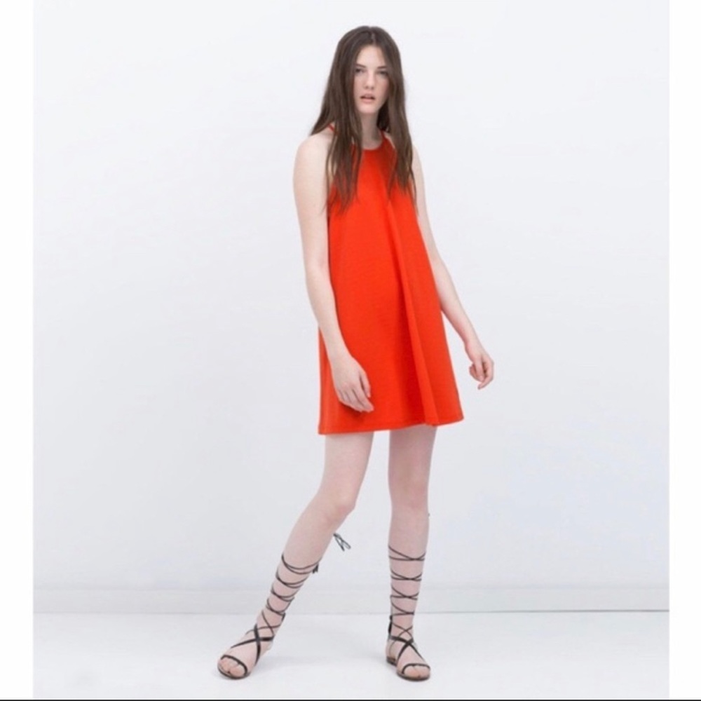 🎉HP🎉Zara Swing Dress